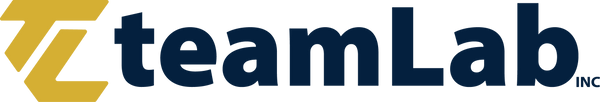 TeamLab Inc